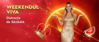 Visuale del bonus Vivabet